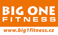 BIG ONE FITNESS