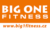 BIG ONE FITNESS